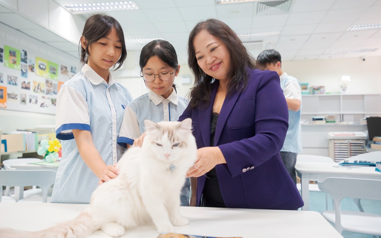 學生在小息時段到圖書館與校園貓咪互動