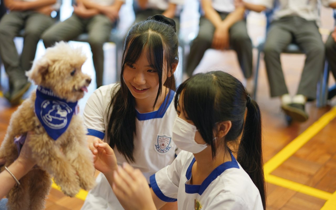安排治療犬隻（狗教授）到校