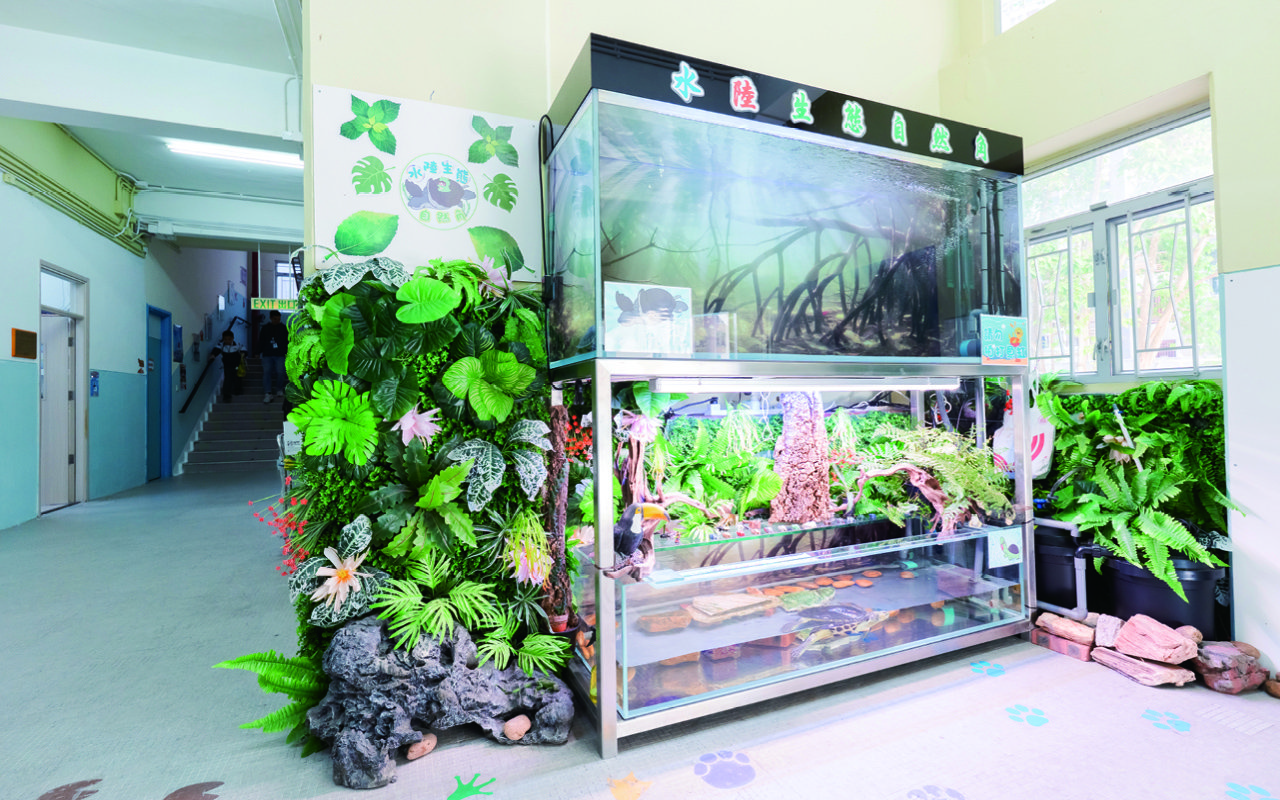 學校借助魚池、種植區等場景