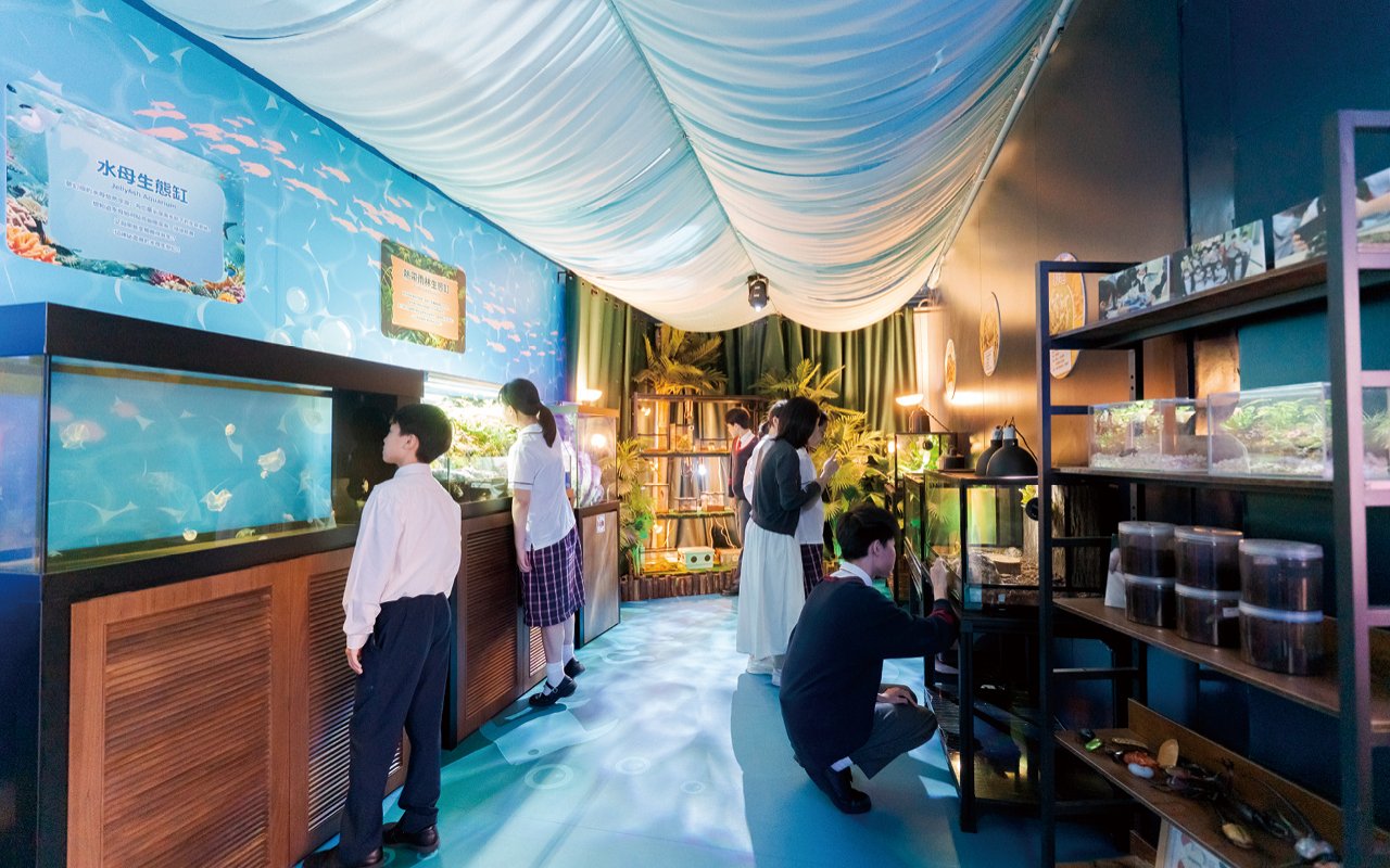 學生在真實情境中應用所學