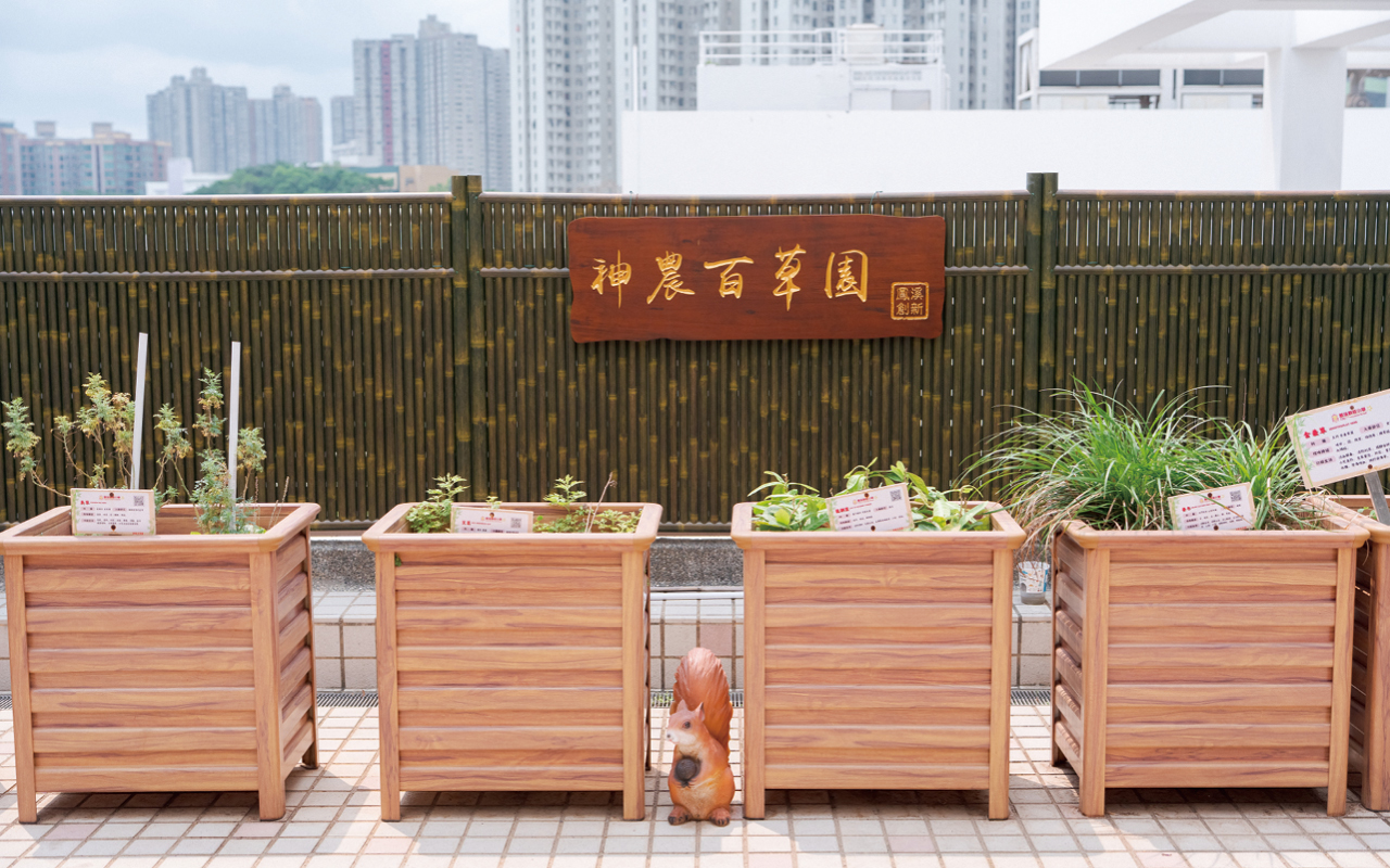 百草園中醫體驗