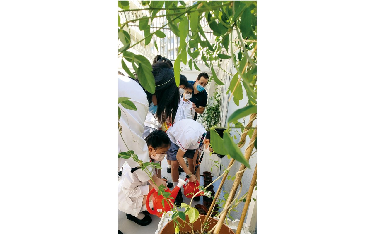 為了增加學生在課餘時間練習英語的機會，英文科組結合生活與英語，除了每週的英語小園丁由外籍老師帶領及教授花藝技巧外，每週五舉辦模擬商店「Panda Shop」，由外籍英語老師Mr. Ralph Turner擔任店長，並帶領由學生擔當的店鋪助理，共同營運商店。