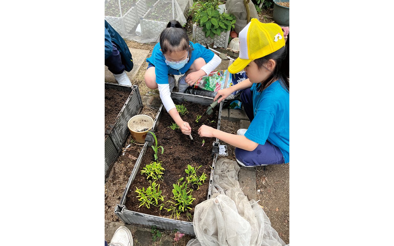 鼓勵他們在過程中肯定自我