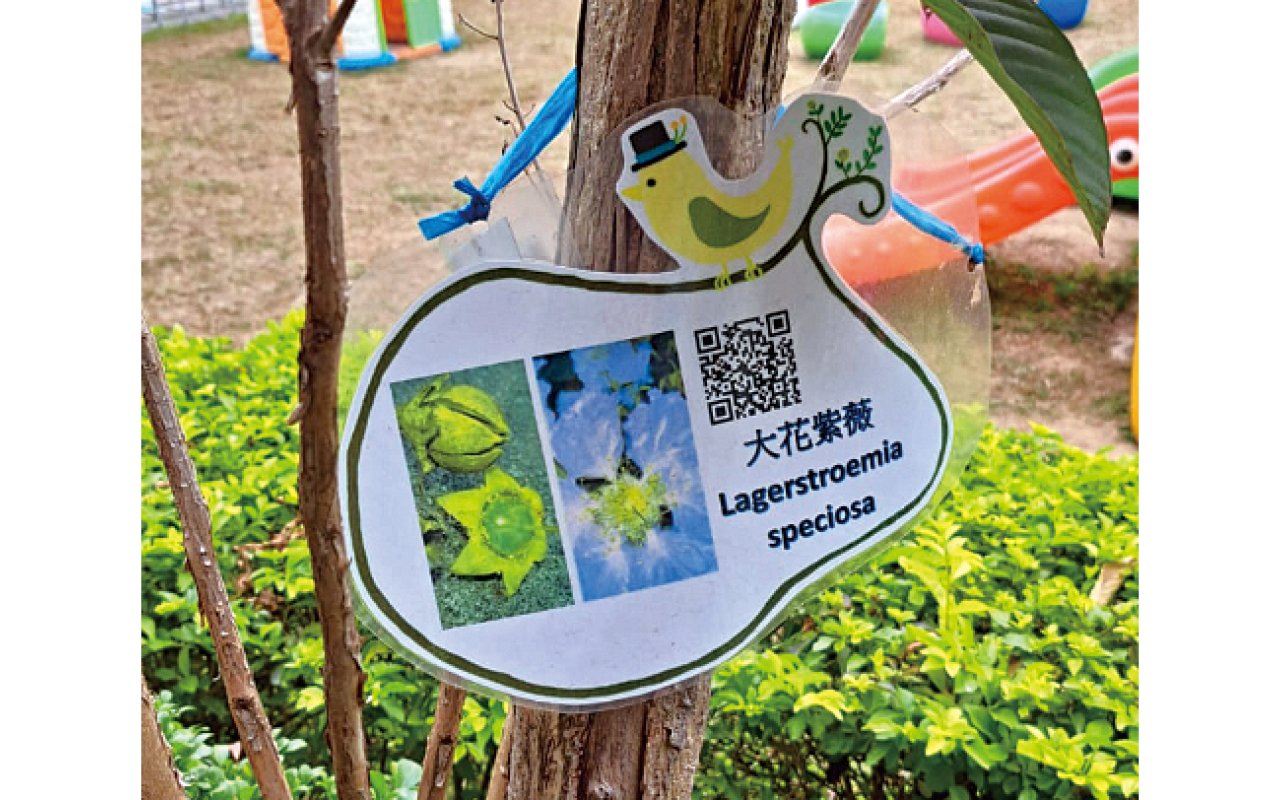 附設二維碼讓學生瀏覽植物的詳細資料