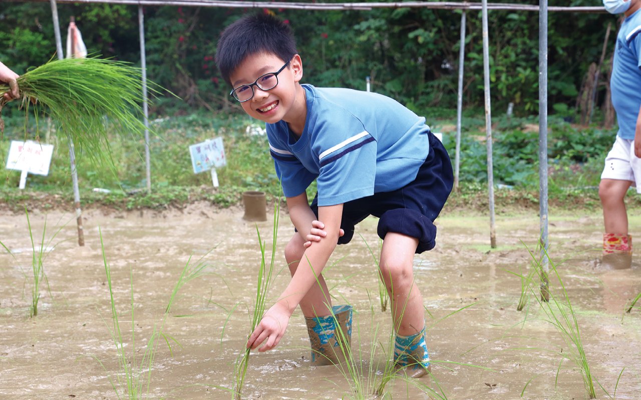 培養學生對大自然的尊重和關懷