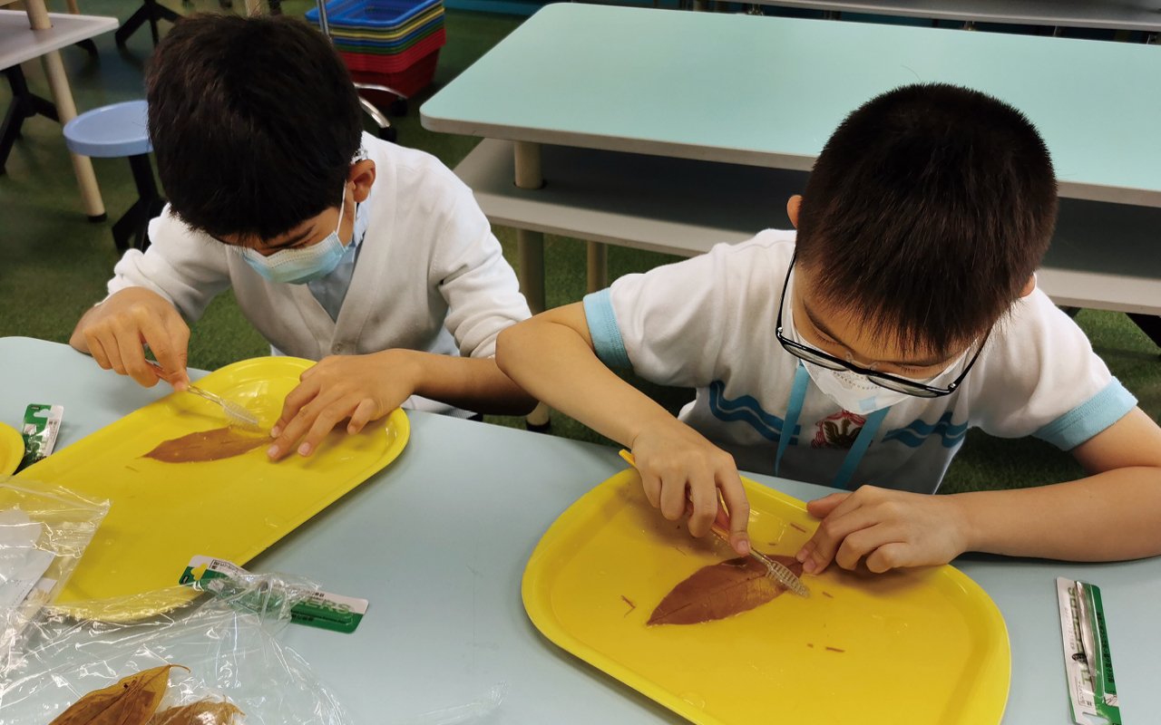 教導學生製作葉脈書籤
