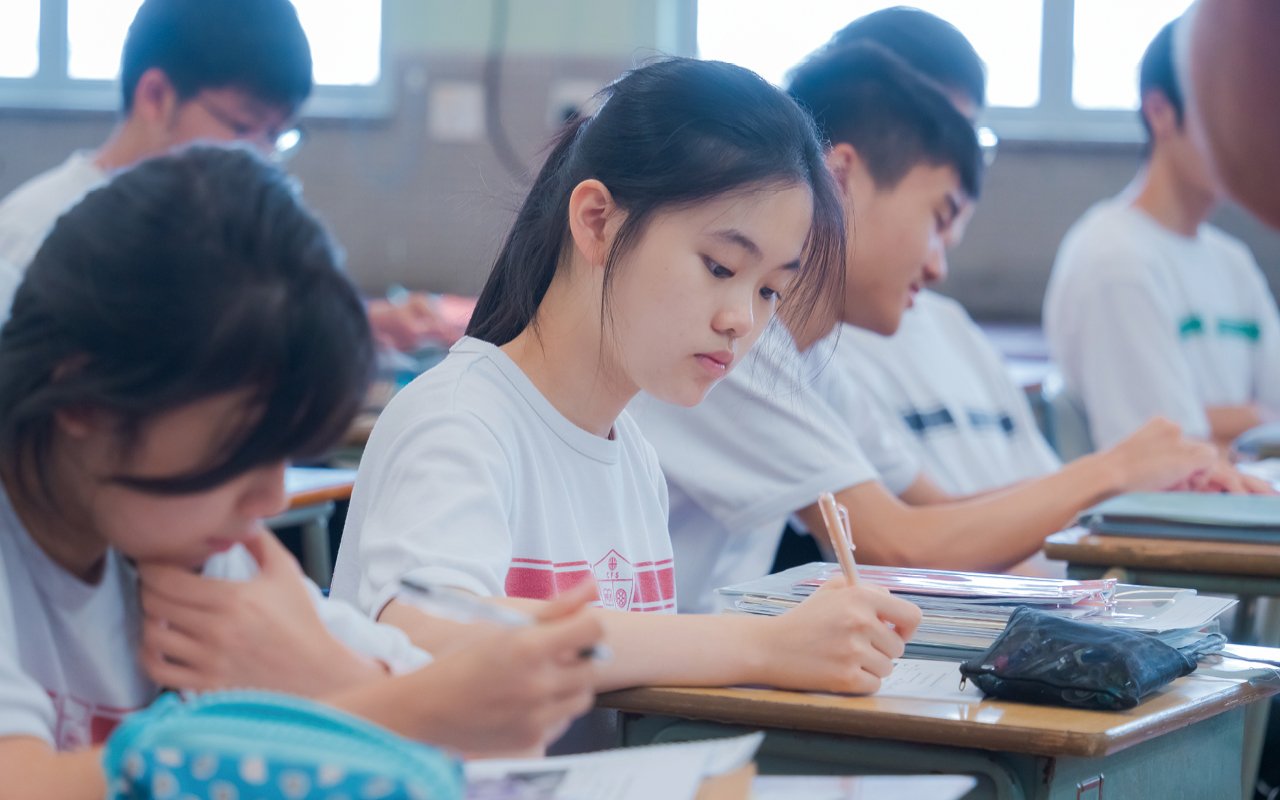 2019年參與「優質學校改進計劃」