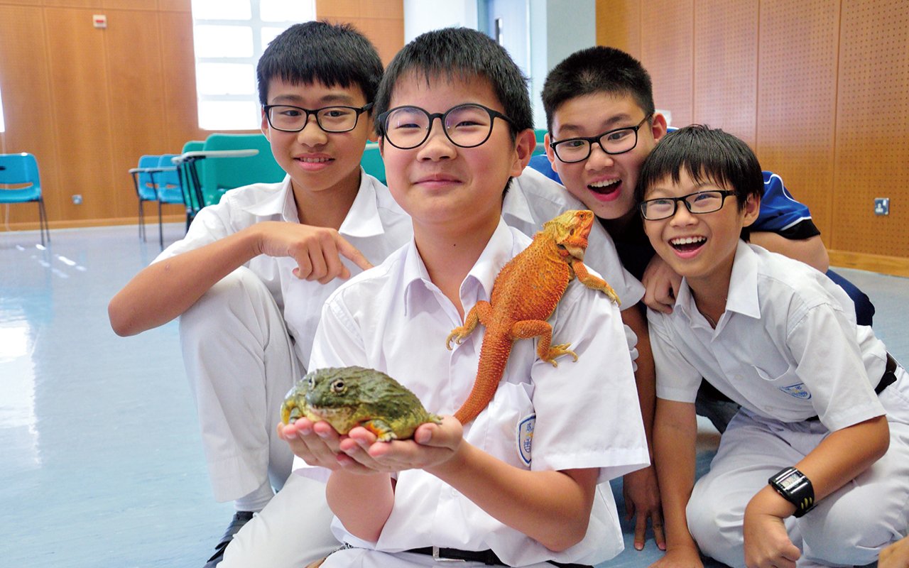 近距離和動物接觸