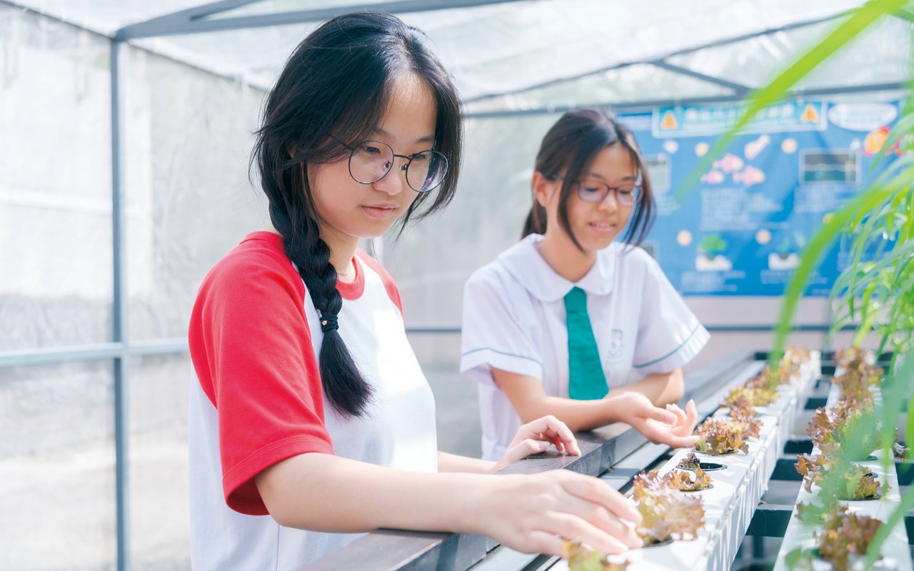學校致力為同學提供大量走出課室的機會