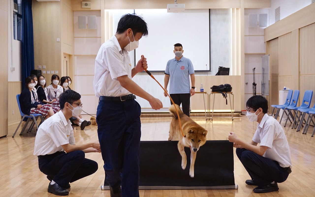 「Pet Pet Buddy 愛心小夥伴」計劃