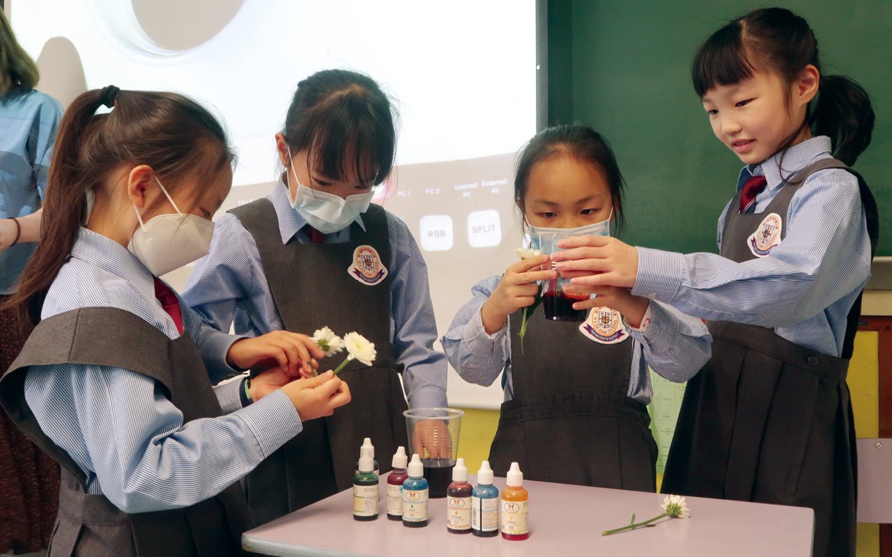 學校以循序漸進的方式展開幼小銜接計劃
