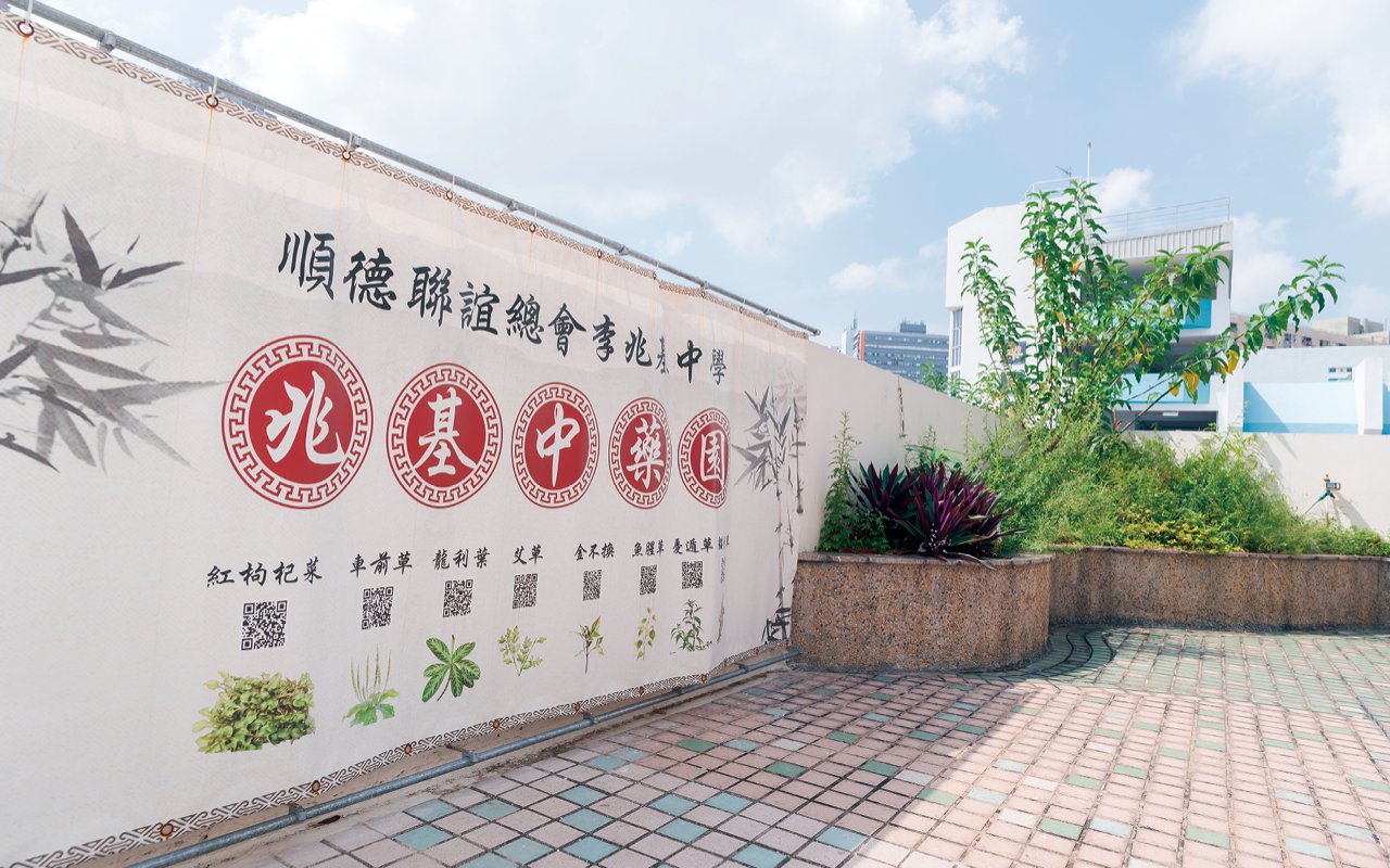 學校申請「優質教育基金」，籌辦了「兆基中藥園」