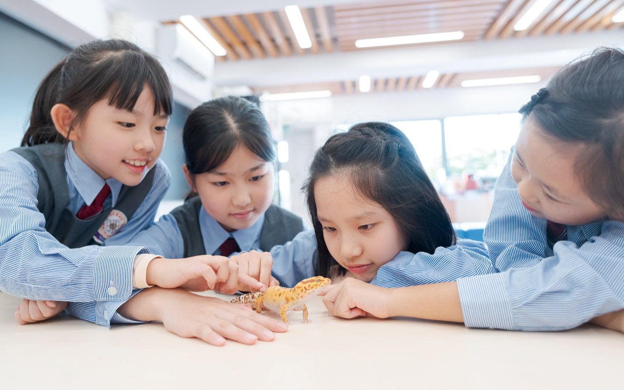 同學習慣說英語，培養以英語溝通和表達能力